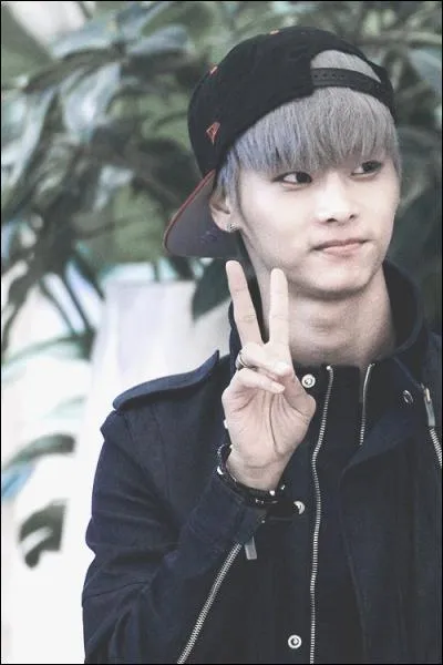 De quel groupe, le chanteur N est-il le leader ?