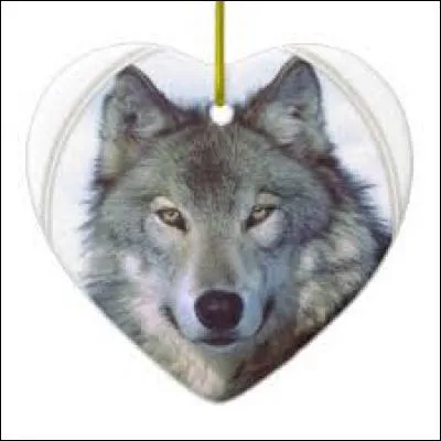 Qui chante "Cur de Loup" dans les années 80 ?