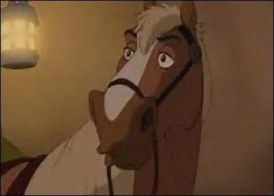 Comment s'appelle ce cheval ?