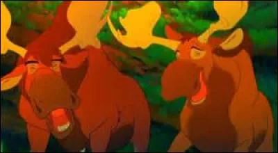 Comment s'appellent ces deux élans ?