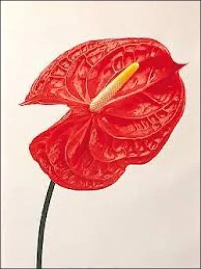 Je vous rajoute celle-ci. Mais quel nom porte-t-elle ?