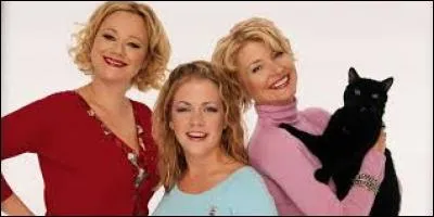 Comment s'appelle cette série ou l'où suit les aventures d'une sorcière qui vit avec ses deux tantes et son chat nommé Salem ?