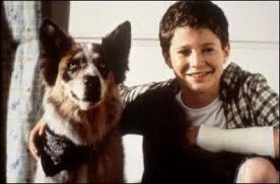 Comment s'appelle cette série ou un adolescent rebelle se fait punir de sa mauvaise conduite en étant transformé en chien ?