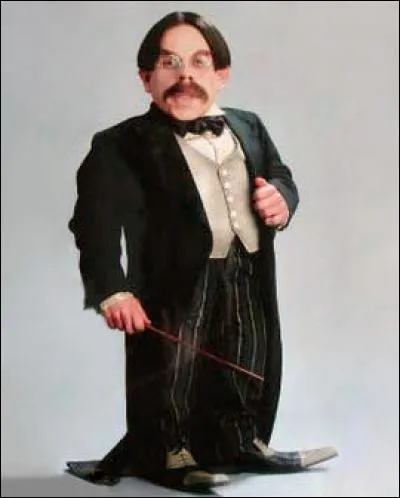 Qu'enseigne le professeur Flitwick ?