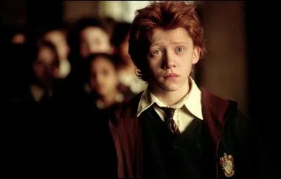 Où vivait Harry quand il était bébé avec ses parents ?