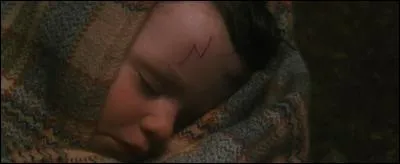 Quelle plante permet à Harry de respirer dans l'eau ?