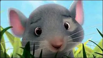 Comment s'appelle cette souris ?