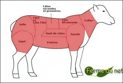 Pour des brochettes d'agneau, il est pr&eacute;f&eacute;rable d'utiliser...