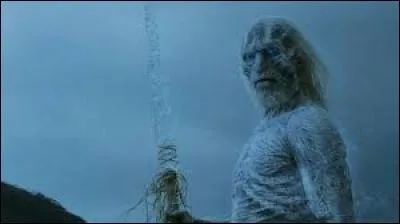 Quel nom porte la bataille qui a mis fin à l'invasion des Morts ?