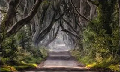 Comment s'appelle le chemin qui mène au Mur du nord ?