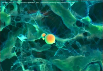 Parmi ses instruments, lequel retrouve-t-on dans un microscope électronique à balayage ?