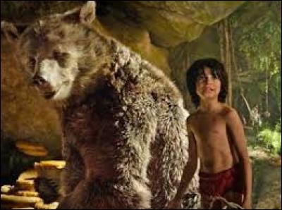 Comment s'appelle l'ours à côté de Mowgli sur cette photo ?