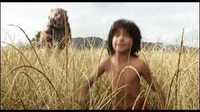 Pourquoi Shere Khan poursuit-il Mowgli ?