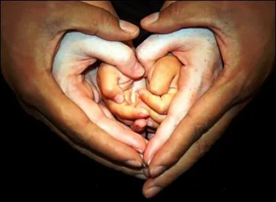 Que ne désigne pas le terme "main courante" ?