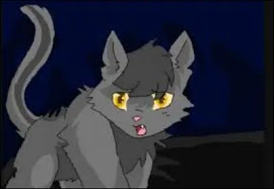 Comment Plume Grise rencontre-t-il Rivière d'Argent ?