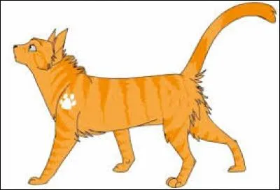 Quelle chatte aux pattes et au poitrail blancs est la soeur de Coeur de Feu ?