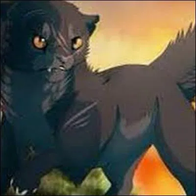 Croc Jaune a un lourd secret, lequel ?