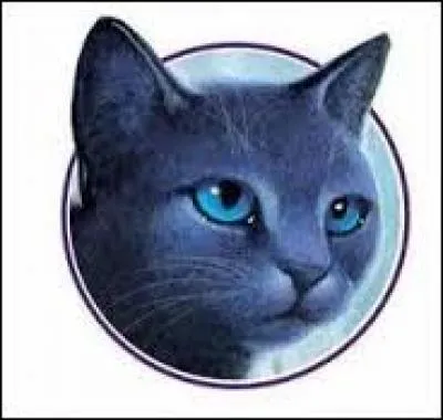 Quelle maladie a enlevé la vie à Etoile Bleue ?