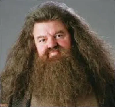 Comment s'appelle ce grand barbu ?