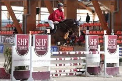 Quelles sont les principales disciplines équestres ?