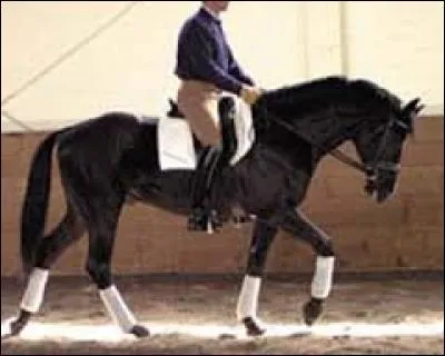 Quelle est la définition du pas et son mécanisme ?