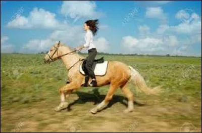 Quelles sont les aides pour partir au galop à juste ?