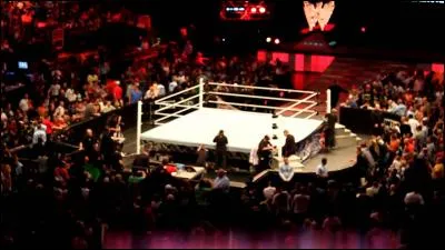 Comment s'appelle le match dans lequel il faut faire passer les catcheurs par dessus la 3ème corde ?