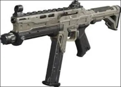 Quel est le nom de cette arme ?