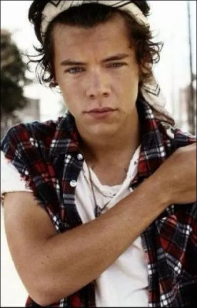 Quels sont les passe-temps préférés de Harry ?