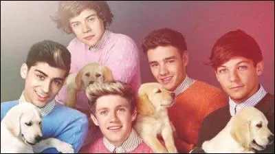 Qui aime beaucoup les chiens ?