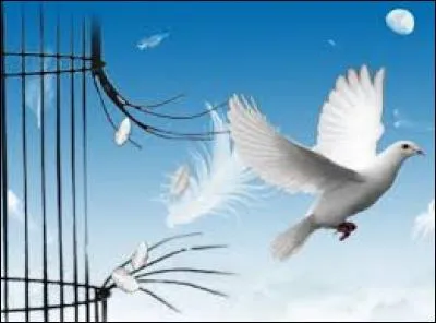 La liberté des uns s'arrête là où commence...