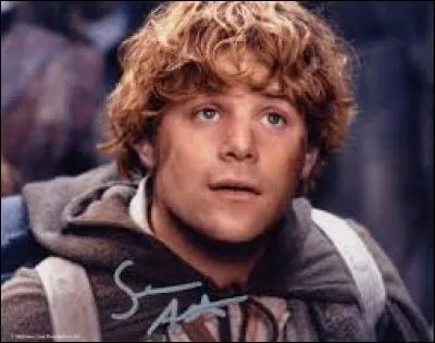 Quelle est la profession de Sam Gamegie ?