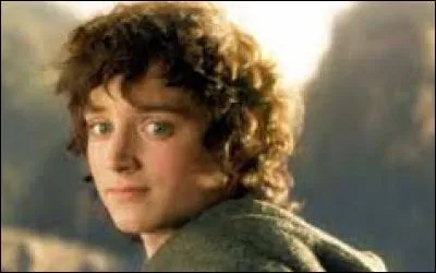 Que donnent les Elfes à Frodon ?