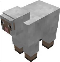 Quiz Minecraft