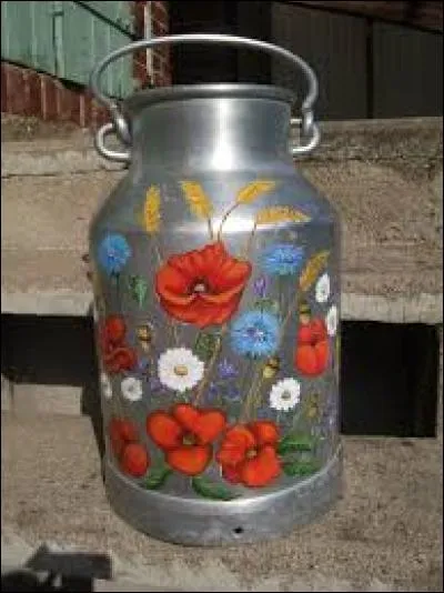 Hallucination, illusion :