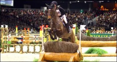 Comment s'appelle cet obstacle ?