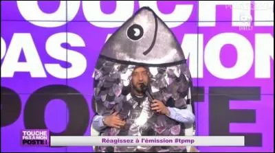 Que fait Cyril Hanouna quand il entend les sardines ?