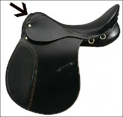 Comment nomme-t-on cette partie de la selle ?