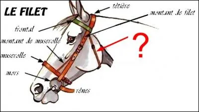 Quelle est la partie indiqu&eacute;e du filet ?