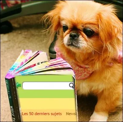 La page suivante du livre vous explique le fonctionnement de la barre des recherches, en haut de votre page sur Quizz.biz. De quelle couleur la flèche à gauche de l'espace est-elle ?