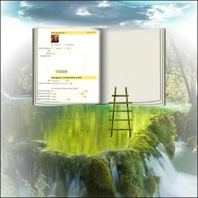 La page suivante concerne le compte des membres de Quizz.biz, propre à chacun. Sur celui-ci que vous voyez sur cette page, qu'y a-t-il d'écrit à gauche des mots en rouge ?