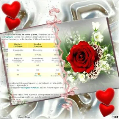 La page suivante vous présente les différents statuts disponibles sur le site Quizz.biz. D'après cette belle page, combien de points faut-il pour devenir Membre Confiance ?