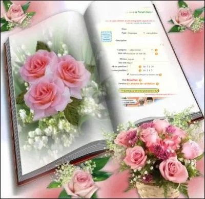 À la page suivante, voyez une page consacrée à la création. D'après cette jolie page, combien de questions un quiz doit-il comporter, au minimum ?