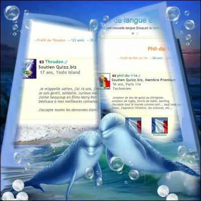 Sur Quizz.biz, il est possible d'en connaître plus sur des membres en observant leurs profils. Les deux pages ci-contre vous présentent deux profils parmi les milliers qui existent actuellement. Sur l'image de gauche, quel personnage du monde de Mario voyez-vous ?