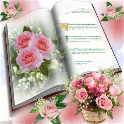 La page suivante de votre livre vous présente les groupes de Quizz.biz, à l'intérieur desquels les membres peuvent agréablement passer leur temps. Il y en a sur tous les sujets ! Un des groupes les plus récents concerne le football. Lequel de ces joueurs pratique le football ?