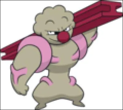 Quel est ce Pokémon ?