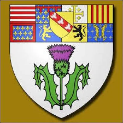 Les mots "macaron" ou "bergamote" vous aideront à trouver le blason de cette ville de Lorraine. Il s'agit du blason de ...