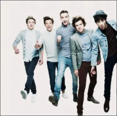 En quelle année Zayn Malik a quitté le groupe ?