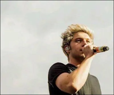 En quel mois est né Niall Horan ?