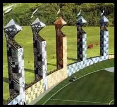 Quelles sont les dimensions d'un terrain de quidditch ?